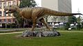 Model of Tyrannosaurus at the Senckenberg Museum in Frankfurt