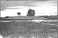 Remnants of the Kanishka stupa.