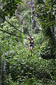 Image 19Zip-lining in the jungles of Belize (from Tourism in Belize)