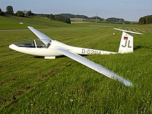 Glasfluegel-401-kestrel-200508.jpg