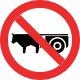 Mexico (Jalisco): No animal-drawn vehicles