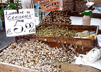 helicid snails for sale in Italy