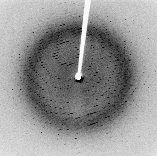 File:X-ray diffraction pattern 3clpro.jpg