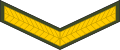 Lance corporal (Lesotho Army)[26]