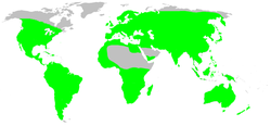 Distribución de los trombicúlidos