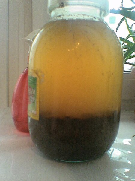 Файл:Fermenting kvass.jpg