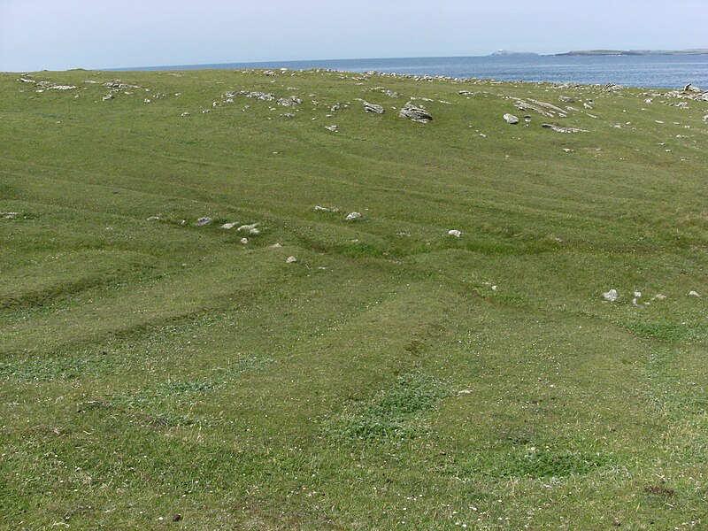 File:Inishglora lazybeds.jpg