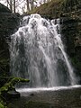 Lynn Spout on the Caaf Water