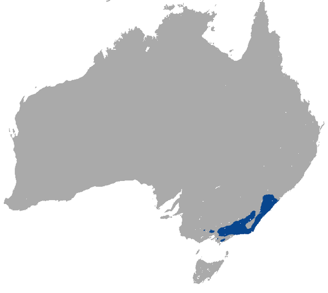 Файл:Mountain Brushtail Possum area.png