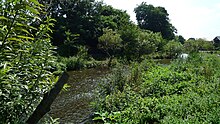 OchiaiRiver@Higashikurume.JPG