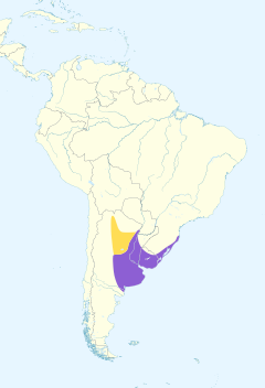       Distribución del pecho amarillo chico en América del Sur