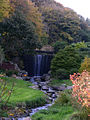 the conservatoire botanique national in autumn.