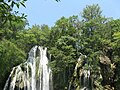 Selva seca en San Luis Potosí.