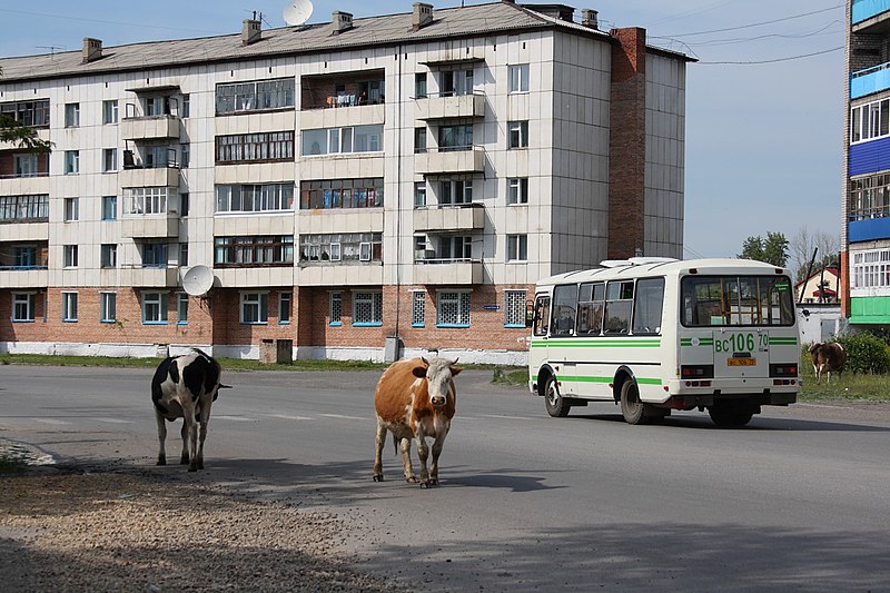 Файл:Asino, street scene.jpg