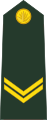 Army - shoulder