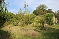 View of part of the chartreuse orchard and vegetable garden.