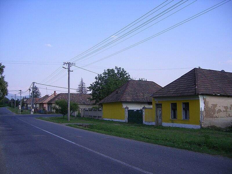 File:Ipolypásztó08.JPG