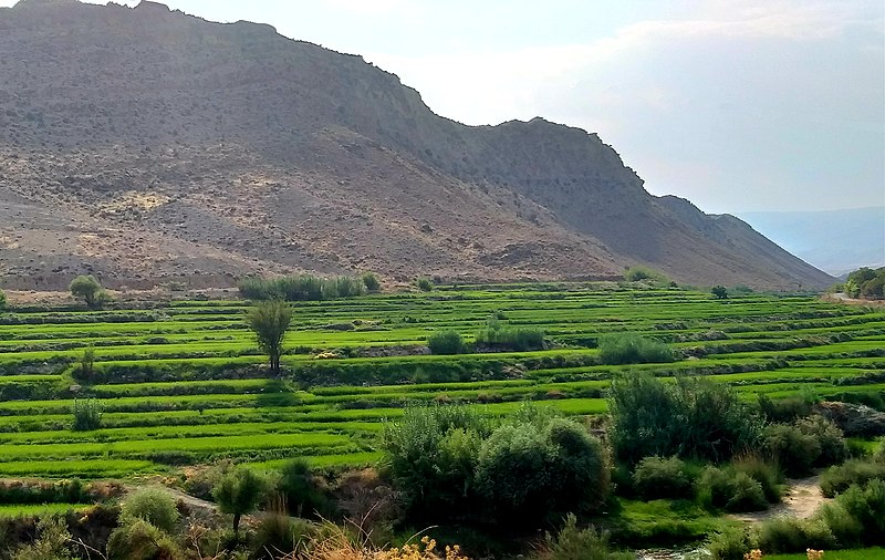 File:Murchegi, Khafr, Iran.jpg