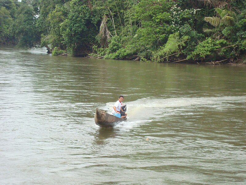 Archivo:Río Orteguaza1.JPG