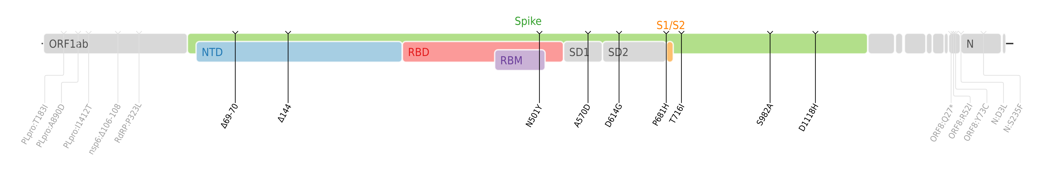 SARS-CoV-2 Alpha变异株的氨基酸突变绘制在SARS-CoV-2的基因组图上[12]