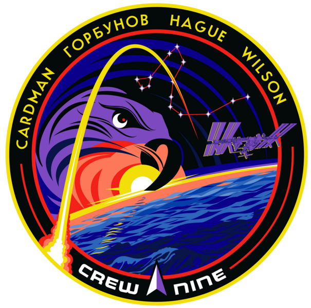 File:SpaceX Crew-9 logo.png