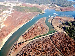 高空俯瞰宣城宁国青龙湾落羽杉林