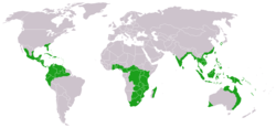 Distribución actual aproximada de las cícadas.