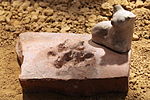 A pet dog's footprint and small sculpture on a Roman terracotta