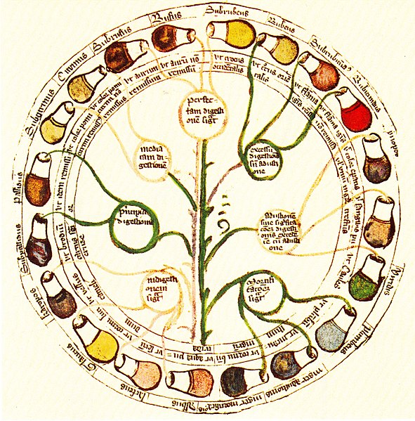 File:Fasciculus Medicinae 1491.jpg