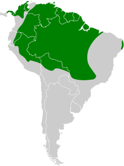 Distribución geográfica del fiofío selvático.