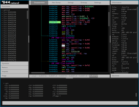 Скриншот программы Radare2