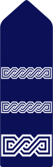 File:Samostalni policajac.svg