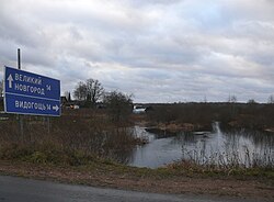 Змейка в деревне Вашково