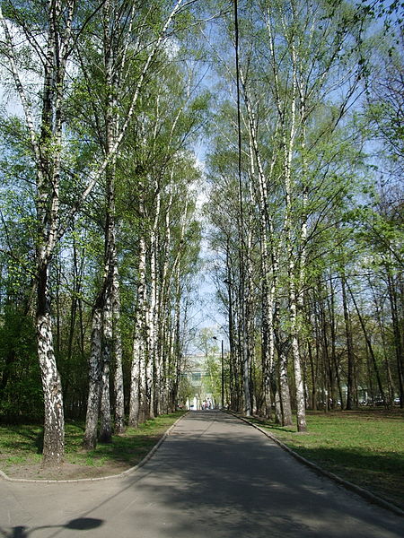 Файл:Vorovsky park alley.jpg