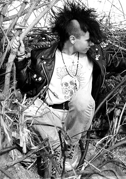 File:Young mohawk punk c1984.jpg