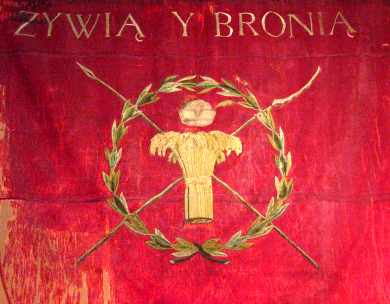 File:Banner of Kościuszko Uprising.PNG