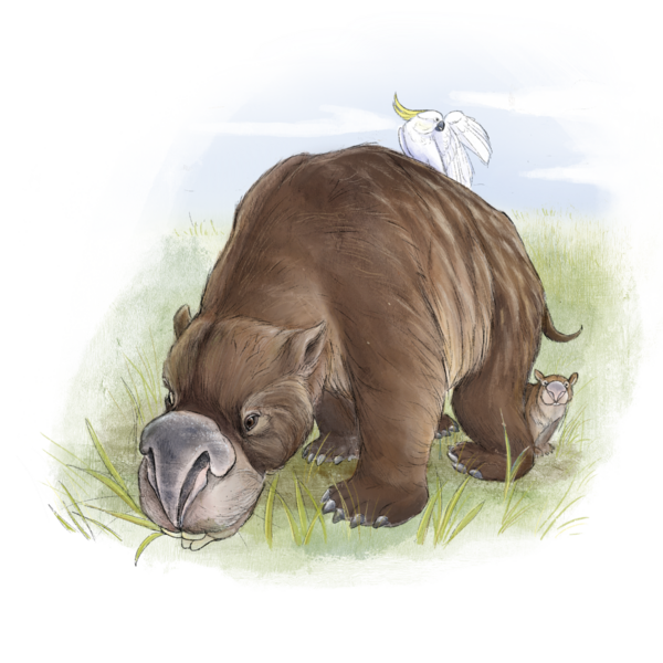 File:Diprotodon (Diprotodon optatum).png