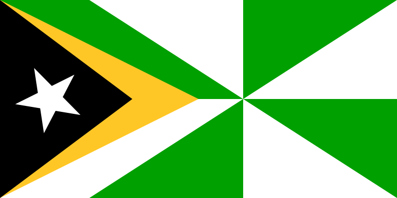 File:Flag of Dili.svg