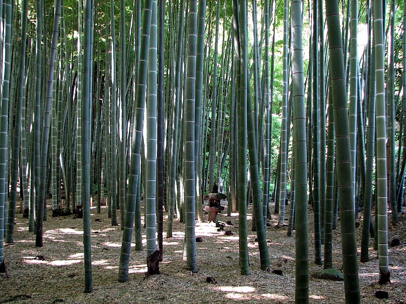 File:Kamakura Takedera 03.jpg