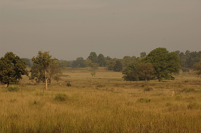 File:Kanha-NP.jpg