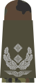 b. Mounting loop with bright-grey emblem on stone-olive basic textile – Luftwaffe (here: lieutenant colonel)