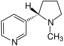 File:Nikotin - Nicotine.svg