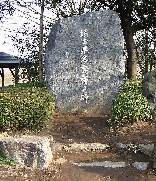 File:Saitama Hassyo no Hi.JPG