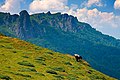 Stara Planina Nature Park