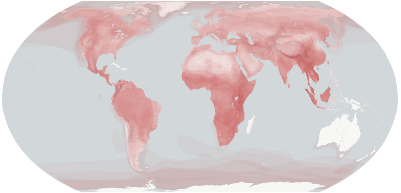 File:Carnivora Distribution.png