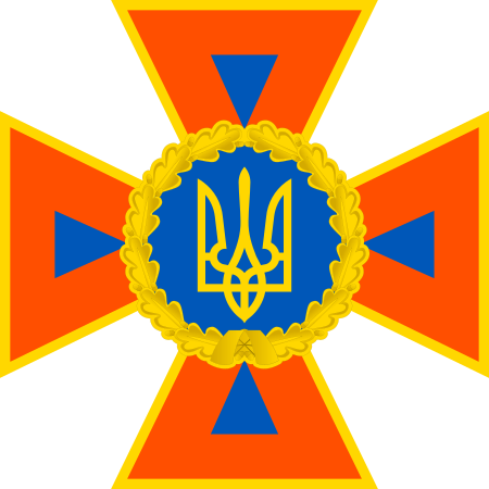 Файл:DSNS emblem 2016.svg