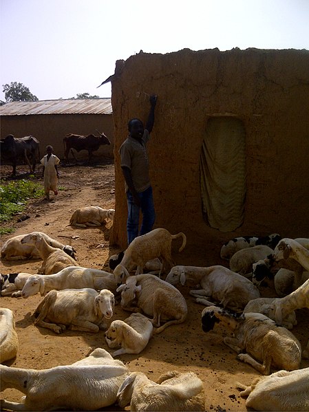 File:Household in Zamfara State.jpg