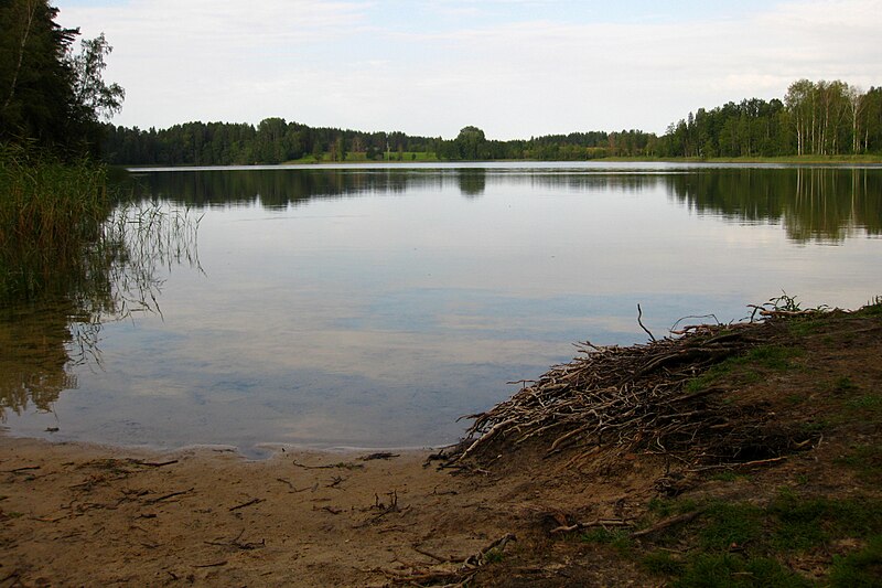 Файл:Koorküla Valgjärv11.JPG