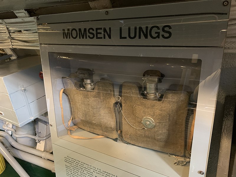 File:Momsen lungs.jpg