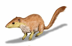 Purgatorius (Primate del Paleoceno)